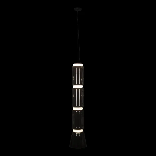 Светильник подвесной LED Noctambule 10193/L LOFT IT прозрачный 1 лампа, основание чёрное в стиле современный  фото 2