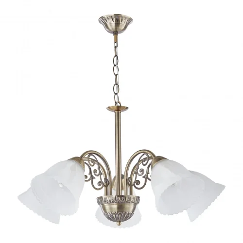 Люстра подвесная Amalfi-8544 338544/5 AB Arte Milano белая на 5 ламп, основание бронзовое в стиле современный фото 4