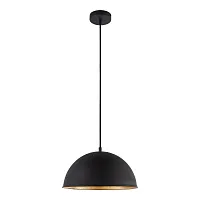 Светильник подвесной LSP-8573 Lussole чёрный 1 лампа, основание чёрное в стиле современный 