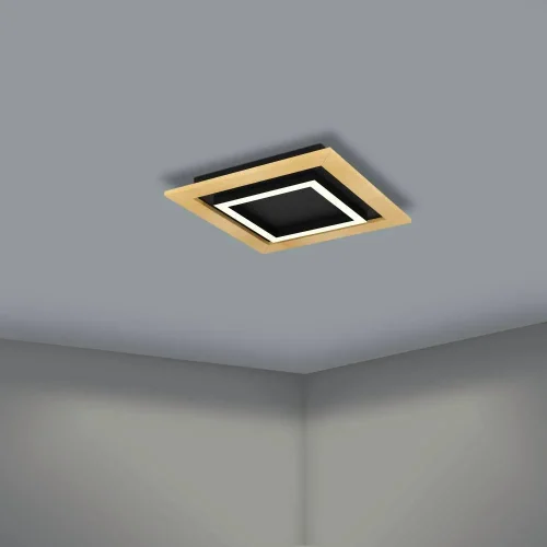 Светильник потолочный LED Tirrenara 900603 Eglo чёрный коричневый 1 лампа, основание чёрное в стиле хай-тек современный квадраты фото 4