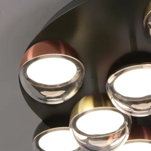 Люстра потолочная LED Luna 4371-12C Favourite прозрачная на 1 лампу, основание чёрное в стиле современный фото 2