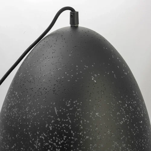 Светильник подвесной лофт Port Chester GRLSP-9892 Lussole чёрный 1 лампа, основание чёрное в стиле лофт  фото 4