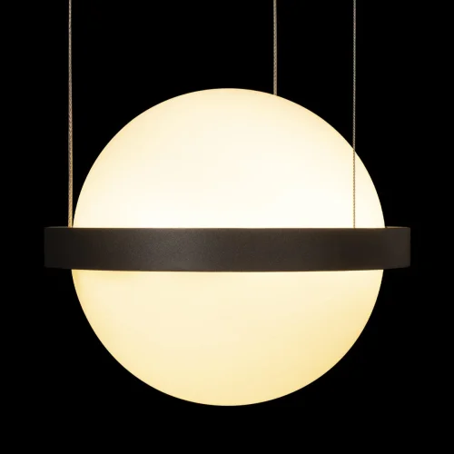 Светильник подвесной LED Jardin 10121/1P Dark grey LOFT IT белый 1 лампа, основание антрацит чёрное в стиле флористика арт-деко  фото 3