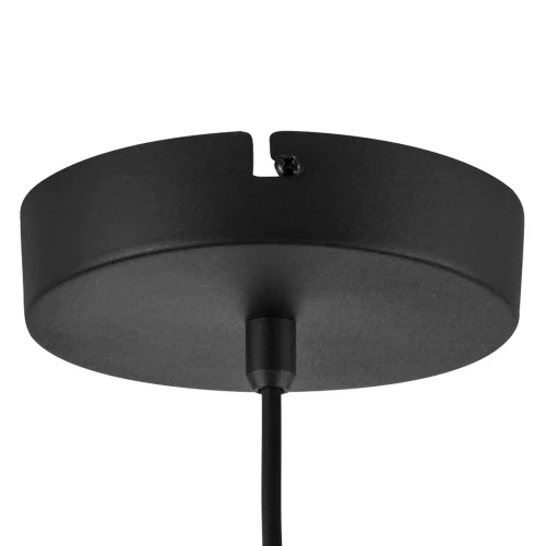 Светильник подвесной LED Emisfero 737527 Lightstar чёрный янтарный на 1 лампу, основание чёрное в стиле хай-тек современный фото 4