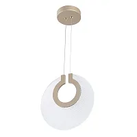 Светильник подвесной LED Bilancia 5194/01 SP-12 Divinare прозрачный на 1 лампу, основание золотое в стиле арт-деко современный 