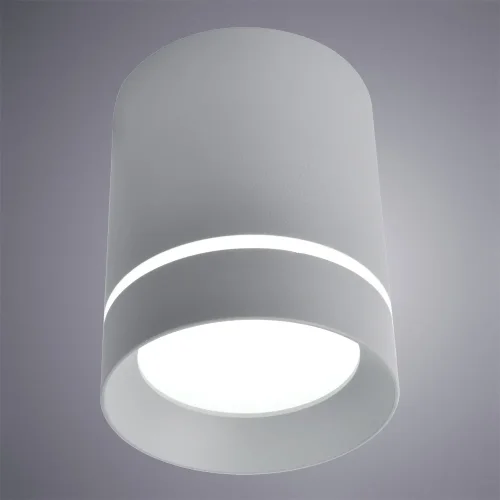 Светильник накладной LED Elle A1909PL-1GY Arte Lamp серый 1 лампа, основание серое в стиле современный круглый фото 2