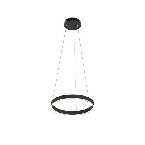 Светильник подвесной LED Rim MOD058PL-L22BK Maytoni чёрный на 1 лампу, основание чёрное в стиле современный хай-тек минимализм кольца