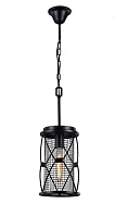 Светильник подвесной лофт Mesh 1783-1P Favourite чёрный 1 лампа, основание чёрное в стиле лофт 