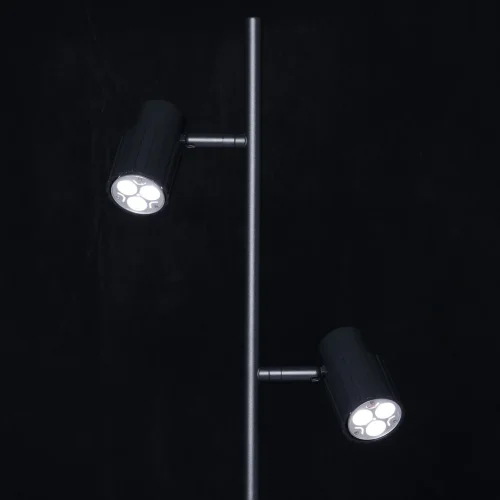Торшер Астор 545044702 DeMarkt  чёрный 2 лампы, основание чёрное в стиле современный хай-тек
 фото 2