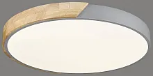 Светильник потолочный LED с пультом 445-247-01 Velante белый 1 лампа, основание коричневое серое в стиле кантри современный тарелка с пультом
