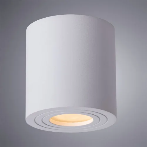 Светильник накладной Galopin A1460PL-1WH Arte Lamp белый 1 лампа, основание белое в стиле современный круглый фото 2
