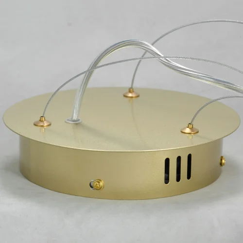 Люстра подвесная LED River LSP-8367 Lussole белая матовая золото на 1 лампа, основание матовое золото в стиле современный хай-тек  фото 4