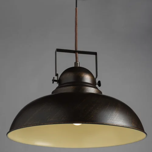 Светильник подвесной лофт Martin A5213SP-1BR Arte Lamp коричневый 1 лампа, основание коричневое в стиле лофт  фото 2