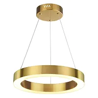 Светильник подвесной LED Brizzi 3885/25LG Odeon Light золотой 1 лампа, основание золотое в стиле хай-тек современный кольца