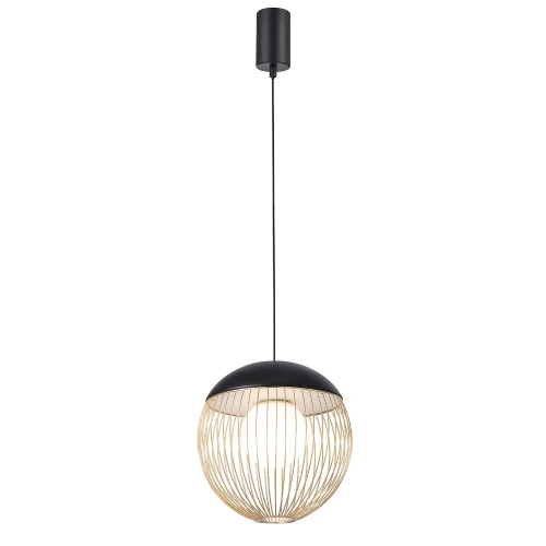 Светильник подвесной LED Core 4240-1P Favourite матовый золото на 1 лампу, основание чёрное в стиле современный 