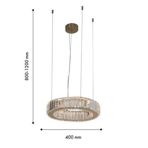 Люстра подвесная LED Manor 4195-4P Favourite прозрачная на 1 лампа, основание золотое в стиле классический кольца фото 3