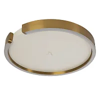 Светильник потолочный LED Circle 10026 LOFT IT белый матовый латунь 1 лампа, основание матовое латунь в стиле хай-тек модерн 