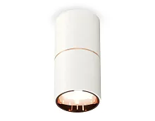 Светильник накладной Techno spot XS6301083 Ambrella light белый 1 лампа, основание белое в стиле модерн круглый