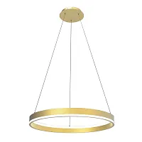 Светильник подвесной LED Rotonda 736412 Lightstar золотой 1 лампа, основание золотое в стиле современный кольца