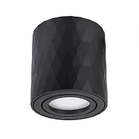 Светильник накладной Fang A5559PL-1BK Arte Lamp чёрный 1 лампа, основание чёрное в стиле модерн круглый
