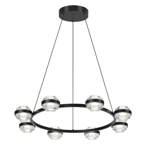 Люстра подвесная LED Klot 5031/50L Odeon Light прозрачная на 1 лампа, основание чёрное в стиле современный  фото 3