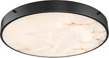 Светильник потолочный LED Devon 3395-5 BL MB Belfast белый на 1 лампу, основание чёрное в стиле современный 