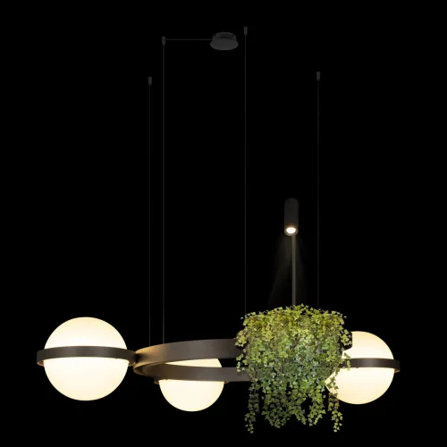 Светильник подвесной LED Jardin 10121/3 Dark grey LOFT IT белый 3 лампы, основание чёрное антрацит в стиле флористика арт-деко  фото 2