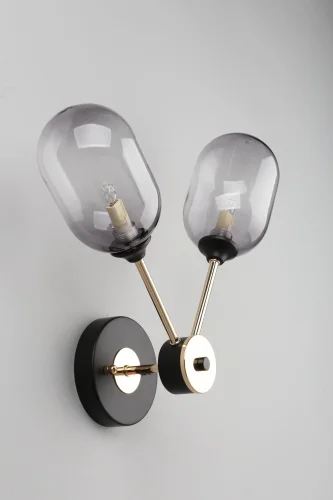 Бра лофт Loano OML-94801-02 Omnilux прозрачный на 2 лампы, основание чёрное в стиле лофт  фото 2