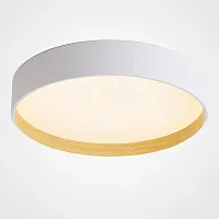 Светильник потолочный NETTY D50 White 224020-23 ImperiumLoft белый на 1 лампу, основание белое в стиле современный скандинавский минимализм 