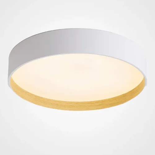 Светильник потолочный NETTY D50 White 224020-23 ImperiumLoft белый на 1 лампу, основание белое в стиле современный скандинавский минимализм 