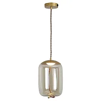 Светильник подвесной LED Acquario LSP-8355 Lussole прозрачный 1 лампа, основание матовое золото в стиле современный выдувное