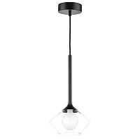 Светильник подвесной Vetro 801202 Lightstar прозрачный 1 лампа, основание чёрное в стиле современный арт-деко 