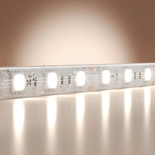 Светодиодная лента 12В 5050 14,4Вт/м 6000K 5м IP 65 201188 Maytoni цвет LED холодный белый 6000K, световой поток 1350Lm фото 3