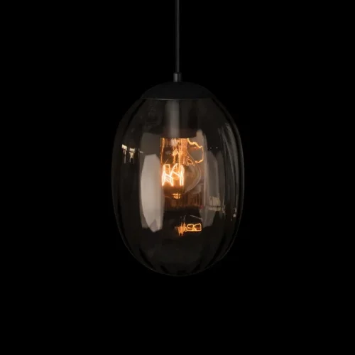 Светильник подвесной Bubble 10427 Smoke LOFT IT дымчатый на 1 лампу, основание чёрное в стиле современный фото 2