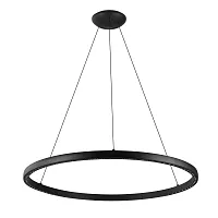 Светильник подвесной LED Riumar 8676 Mantra чёрный на 1 лампу, основание чёрное в стиле современный кольца
