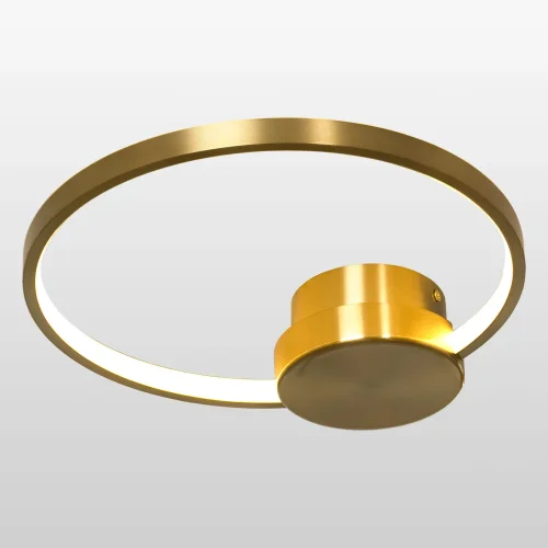 Бра LED Lowell LSP-7109 Lussole бронзовый на 1 лампа, основание бронзовое в стиле современный хай-тек кольца фото 2