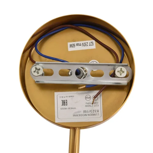 Бра Larina 8323/1W Lumion белый на 1 лампу, основание латунь в стиле классический фото 4