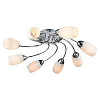 Люстра потолочная Jonesboro GRLSP-0134 Lussole белая на 8 ламп, основание хром в стиле классический 