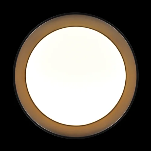 Светильник потолочный LED Coin 10202 BB LOFT IT белый на 1 лампу, основание чёрное в стиле современный круглый фото 4