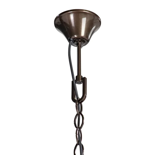 Люстра подвесная V5850-7/10 Vitaluce чёрная серая на 1 лампа, основание бронзовое в стиле классический современный  фото 4
