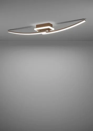 Светильник потолочный Lungolago 901219 Eglo бронзовый на 1 лампу, основание бронзовое в стиле современный хай-тек фото 7