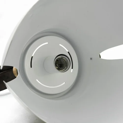 Светильник подвесной лофт Huntington GRLSP-9843 Lussole бежевый 1 лампа, основание бежевое в стиле лофт  фото 4