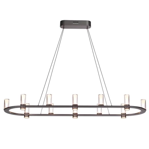 Светильник подвесной Defance 7143/65L Odeon Light прозрачный на 12 ламп, основание серое чёрное в стиле современный классический овал фото 3