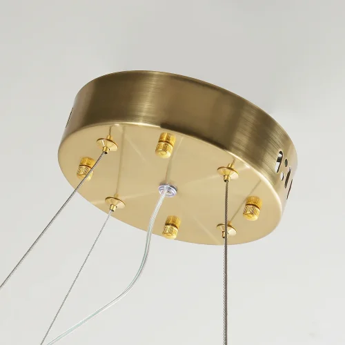 Люстра подвесная LED Placerat 4012-5P Favourite прозрачная на 1 лампа, основание золотое в стиле современный  фото 4