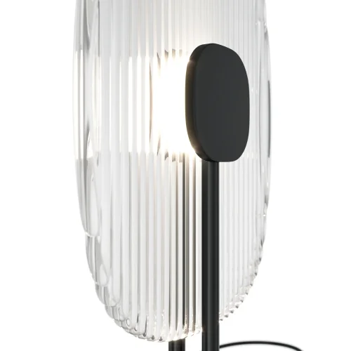 Настольная лампа LED Eclipse MOD152TL-L1BK Maytoni прозрачная 1 лампа, основание чёрное металл в стиле арт-деко  фото 3