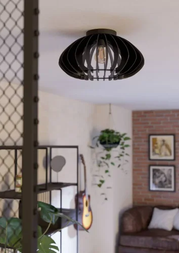 Светильник потолочный Cossano 901001 Eglo чёрный на 1 лампу, основание чёрное в стиле современный кантри фото 5 Светильник потолочный Cossano 901001 Eglo чёрный на 1 лампу, основание чёрное в стиле современный кантри фото 5