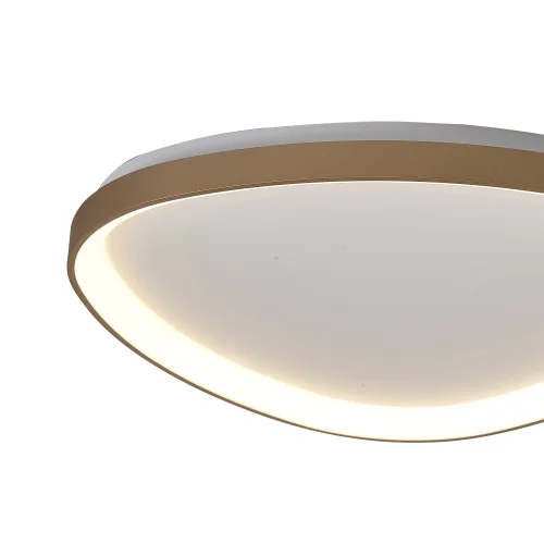 Светильник потолочный LED Niseko 8058 Mantra белый 1 лампа, основание золотое в стиле современный  фото 2