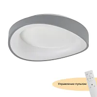 Люстра потолочная LED с пультом Diona MR9190-CL MyFar белая на 1 лампу, основание серое в стиле современный хай-тек 