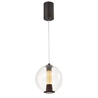 Светильник подвесной LED Boble 4550-2P Favourite прозрачный на 1 лампу, основание чёрное в стиле современный 