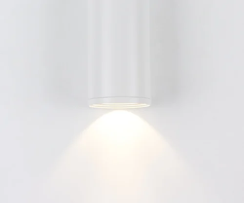 Светильник накладной LED Фабио 08570-12,01 Kink Light белый 1 лампа, основание белое в стиле современный круглый фото 2
